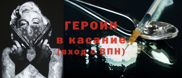 индика Арсеньев