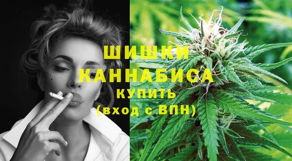 индика Арсеньев