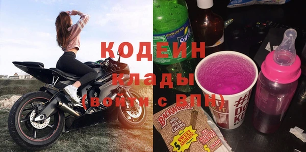 индика Арсеньев