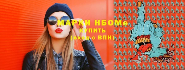 индика Арсеньев