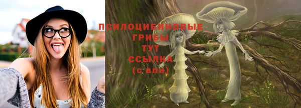 амф Аркадак
