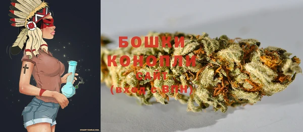индика Арсеньев